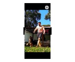 Separado, já a bastante tempo, adoro o mundo liberal - 4