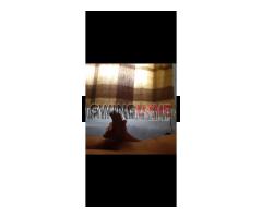 22 anos, interessado em mulheres